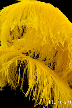 Autruche premium - 50-60 cm - jaune doré